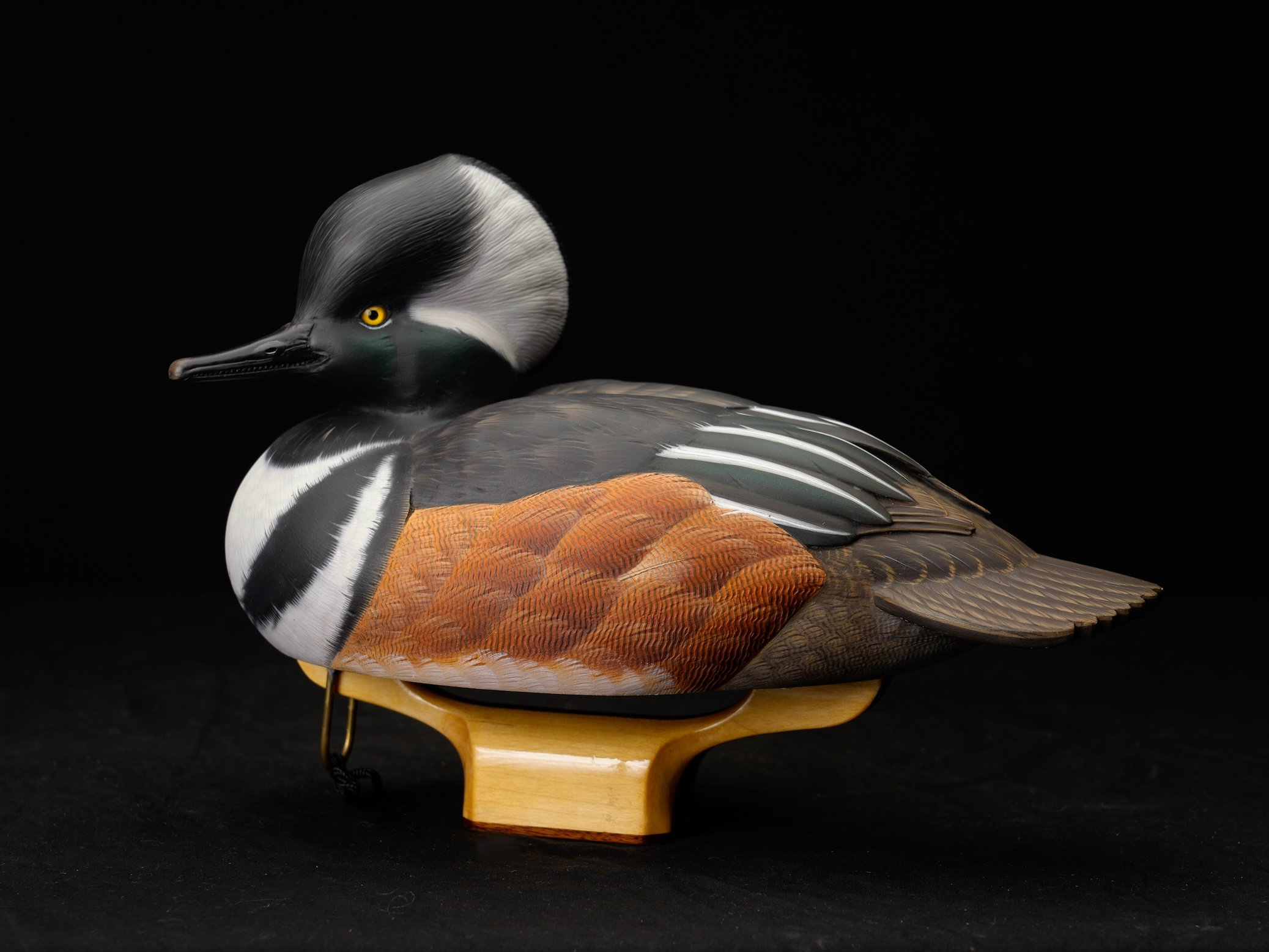 2nd place Species, 108-1023, Ken Stuparyk copy.jpg