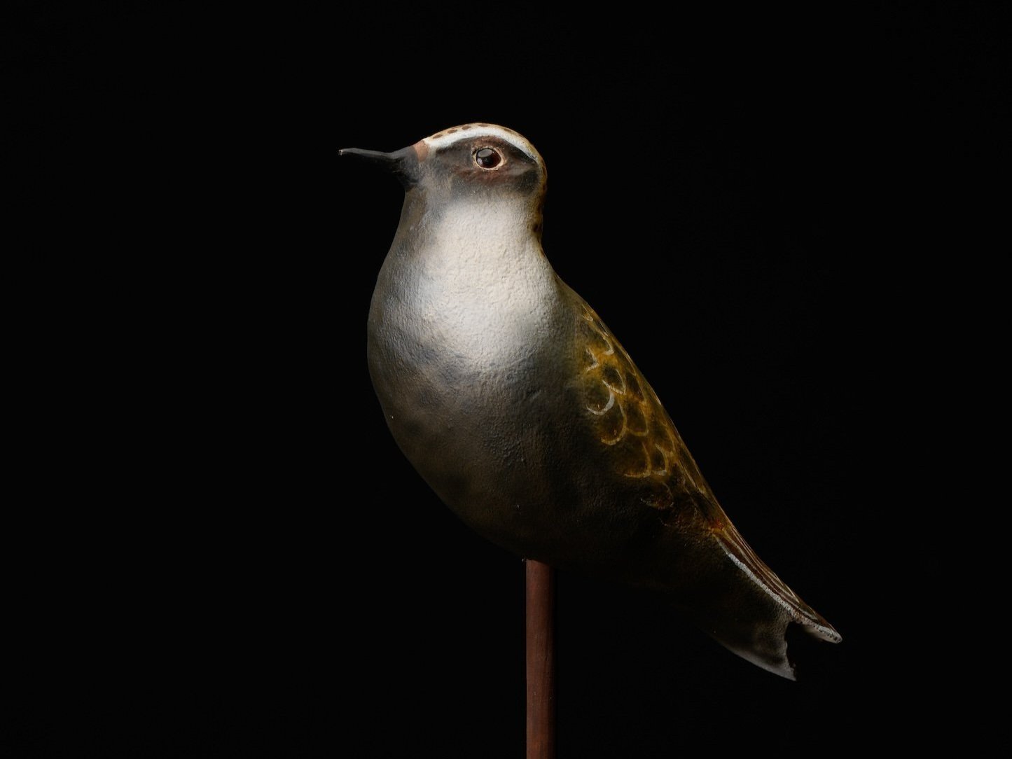 +1st+BOD%2C+1st+and+3rd+BOD%2C+137-1074%2C+Harold+M+Brown+copy.jpg