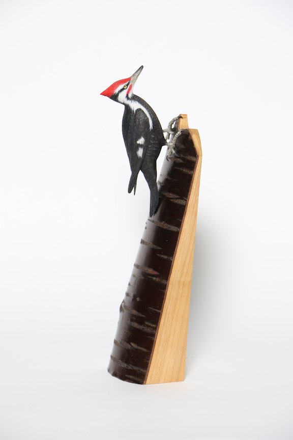 $Dr. Lyon Award,Best in Northwest Tom Jones Piliated Woodpecker4 copy.JPG