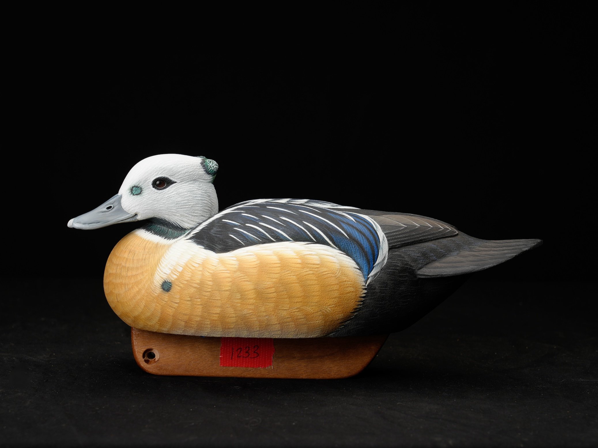  3rd BOD 1st Species, 2nd Sea Duck, 166-1233, IWCA, Tom Matus copy.jpg
