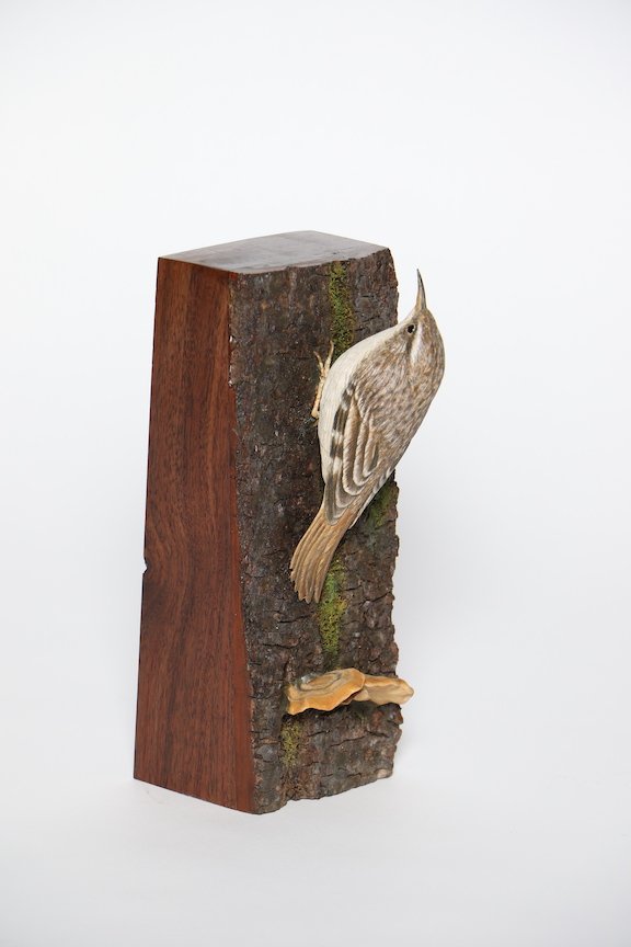 B. Decorative Lifesize Non-Floating Open Best of Division Tom Jones Brown Creeper2 copy.JPG