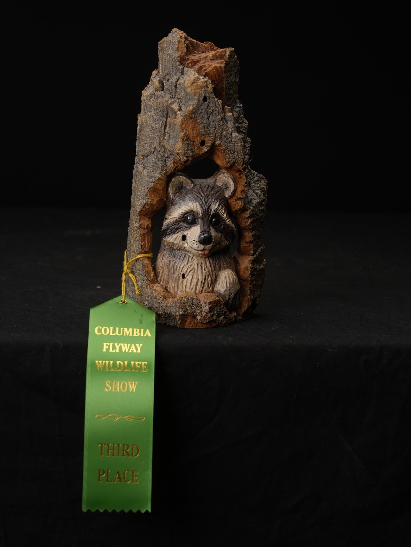  3rd BOD, 2nd C, 140-1116, Cheryl Ayre Cottonwood  Raccoon copy.JPG