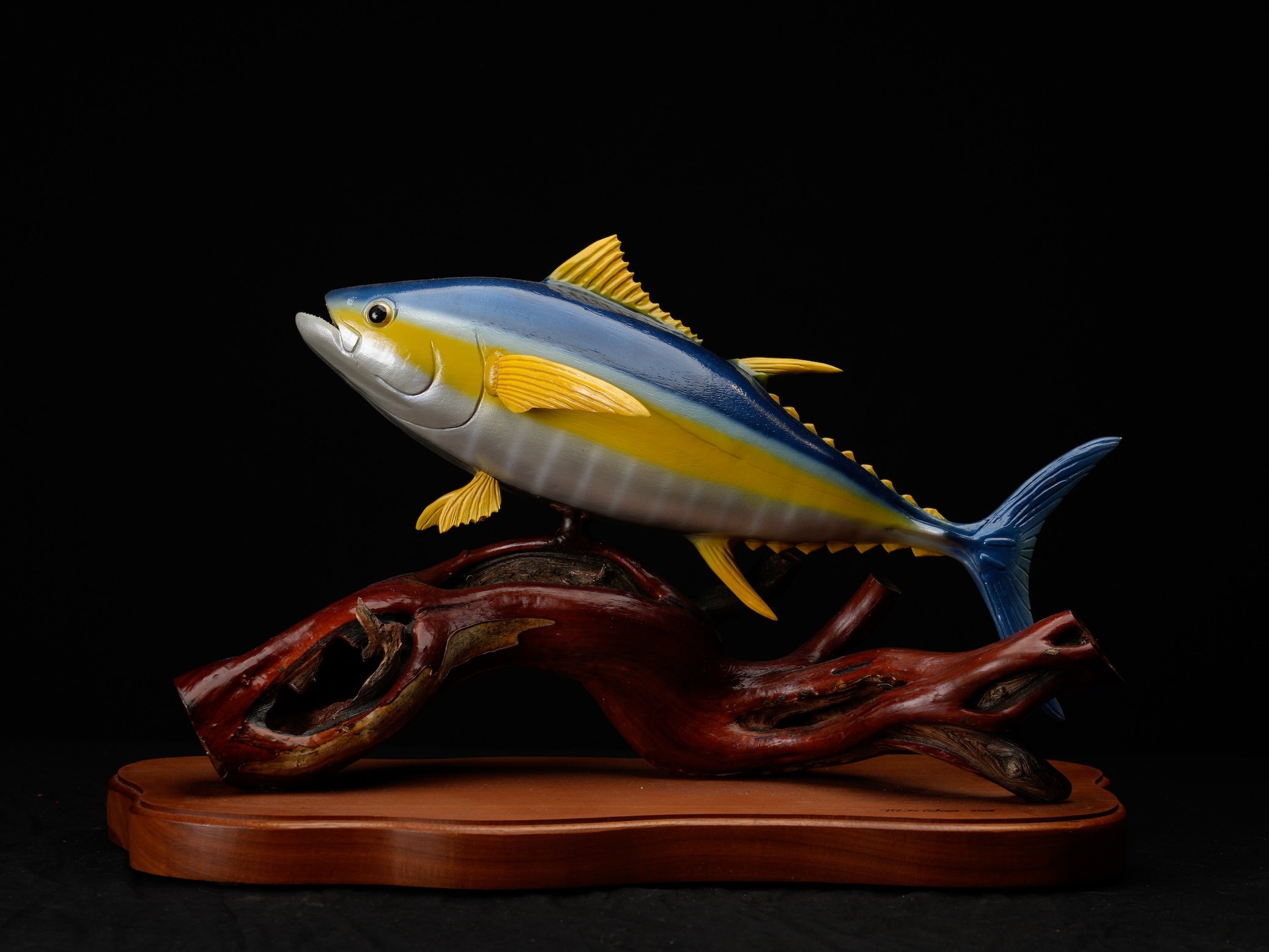 3rd C 1141, Mike Coheen Yellowfin Tuna copy.jpg