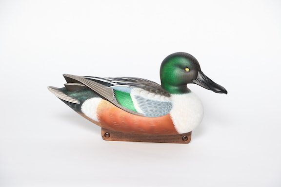  Washington State DU Award - 1st Place Jerry Harris Shoveler Drake1 copy.JPG