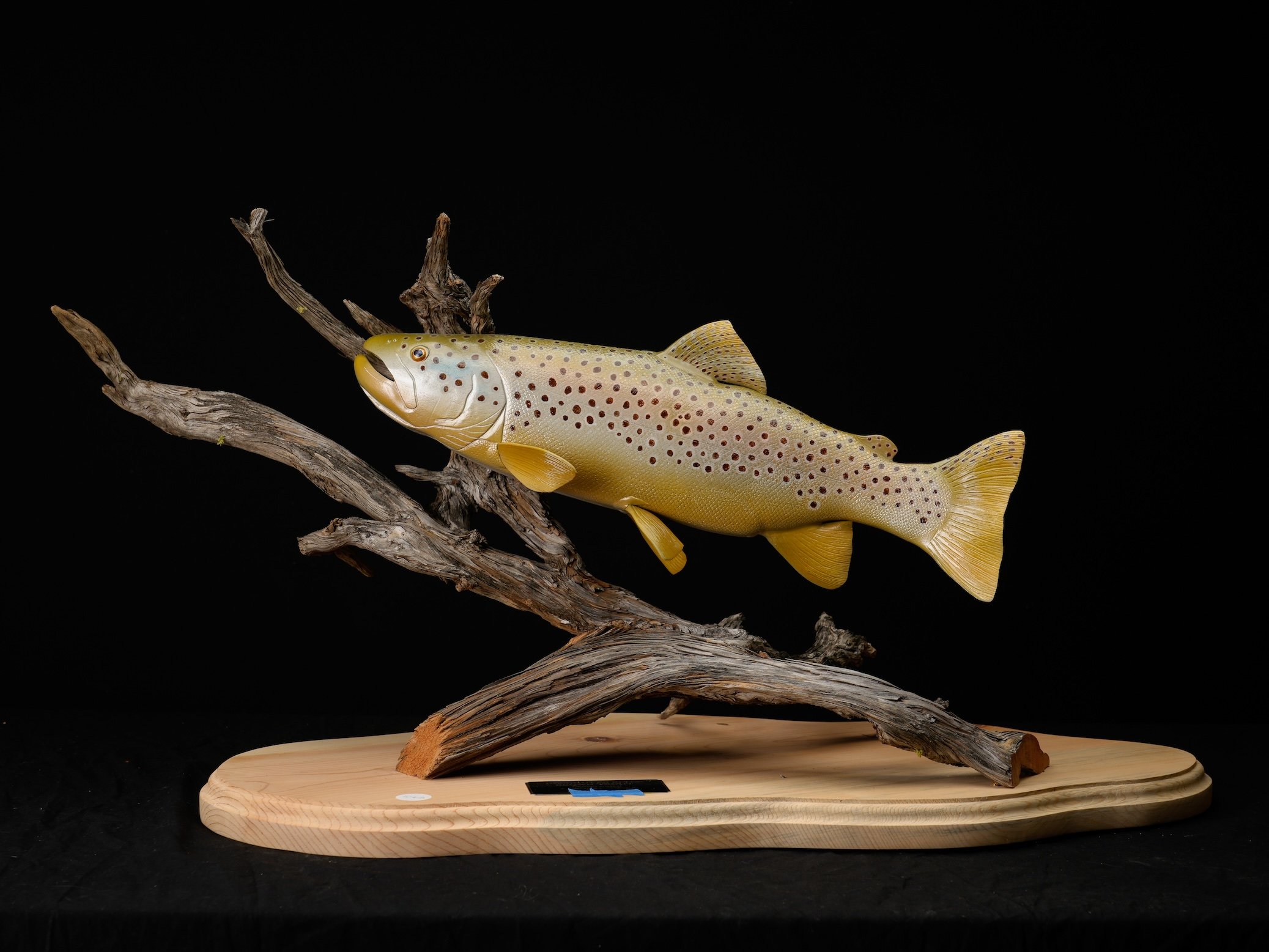 3rd C, 1063, Rick Pearson Brown Trout copy.jpg