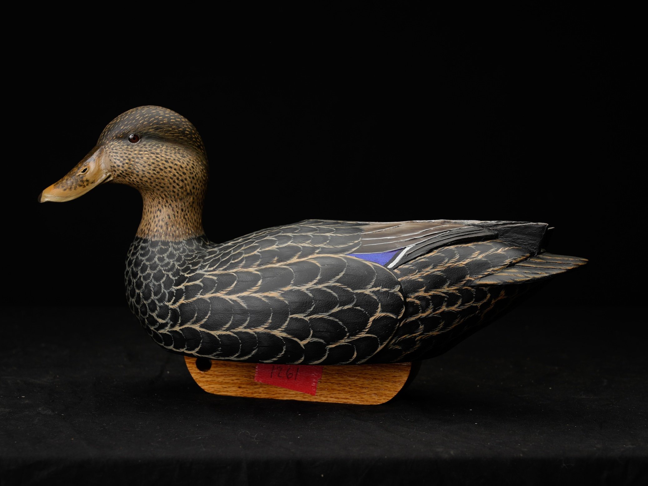 1st Speices, 2nd BOC, 2nd BOD, 125-1261, Larry Harbaugh copy.jpg