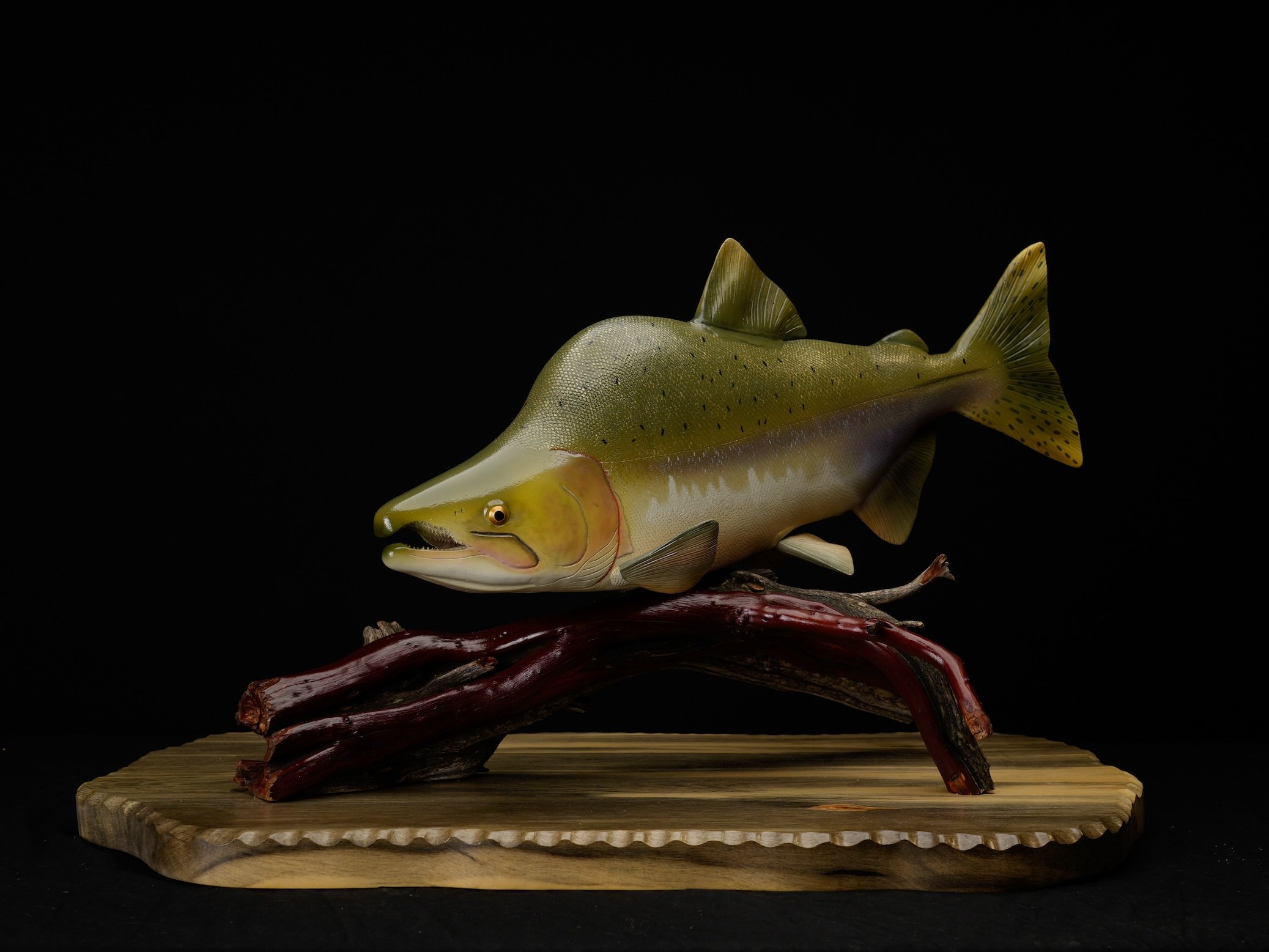  1st BOD 1058, Gary Wing Pink Salmon copy.jpg