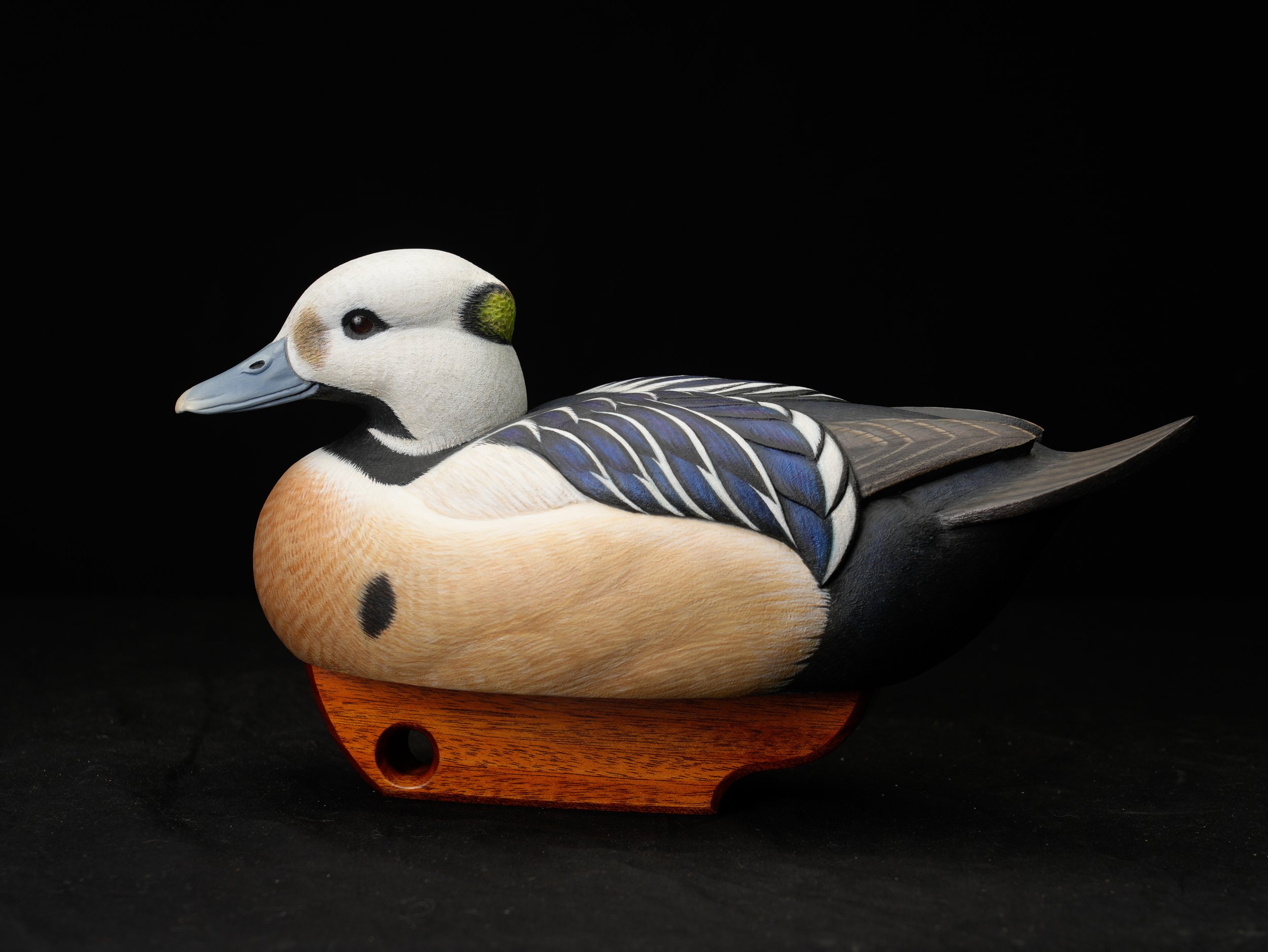 2nd Species, 3rd Sea Duck, 101-1002, Jon Jones.jpg