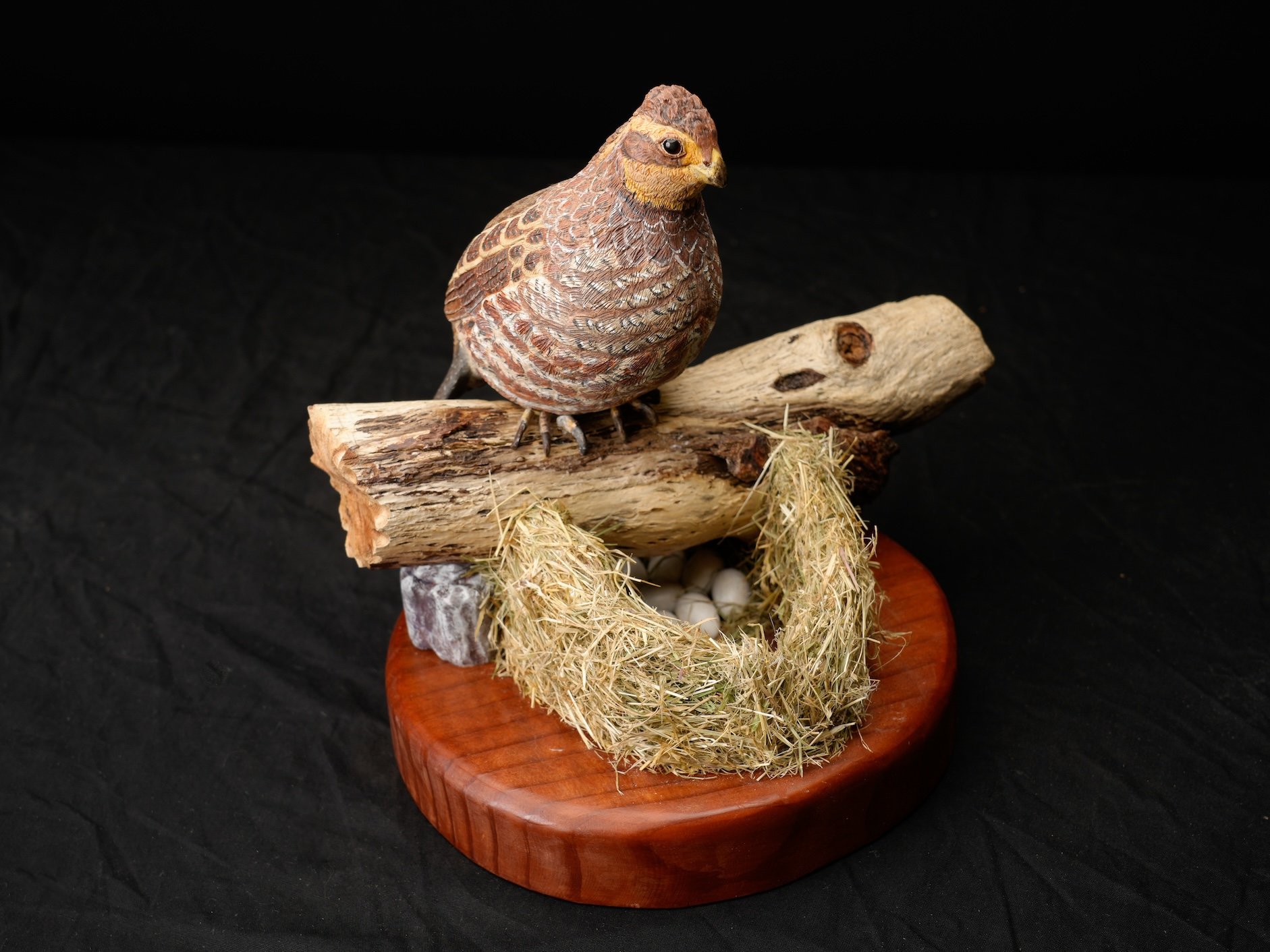  2nd BOD, 1st C, 140-1113, Cheryl Ayres copy.jpg