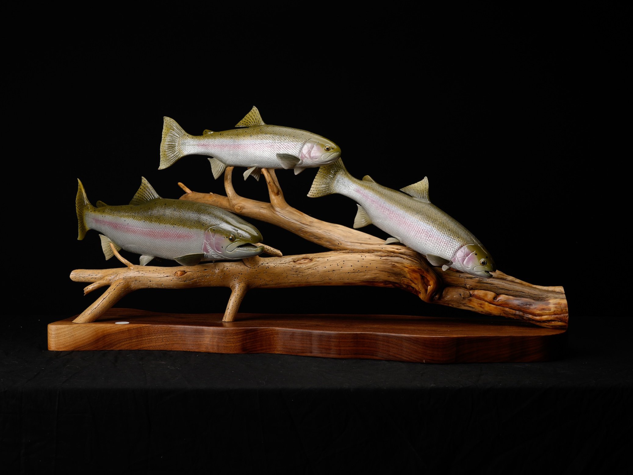  1st BOD Novice1072, Robert Coates Steelhead copy.jpg