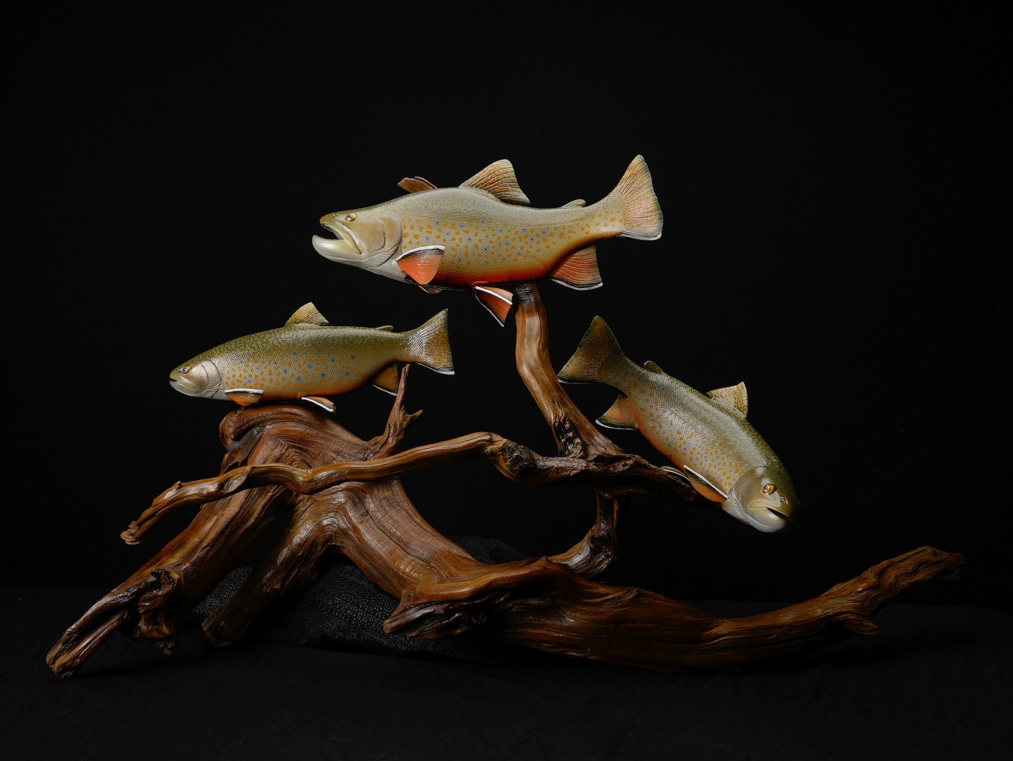 Christopher Walluck Brown Trout copy.jpg