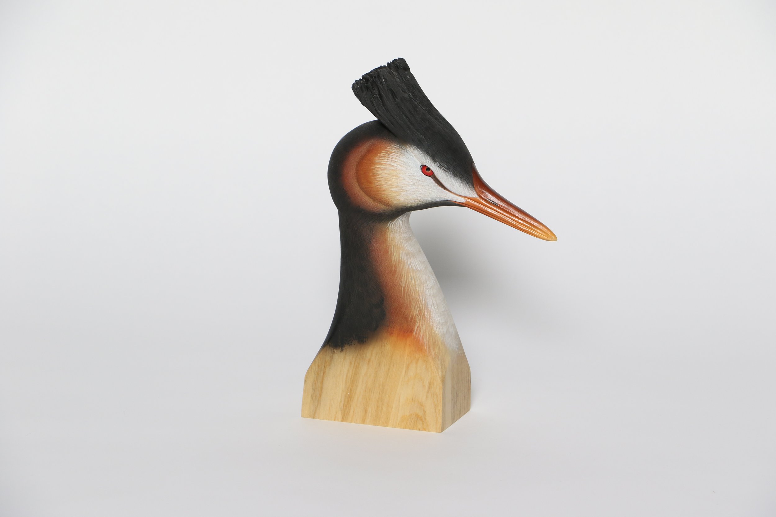 I. Waterfowl Bust - Open Best of Division Del Herbert Crested Grebe 2 copy.jpg