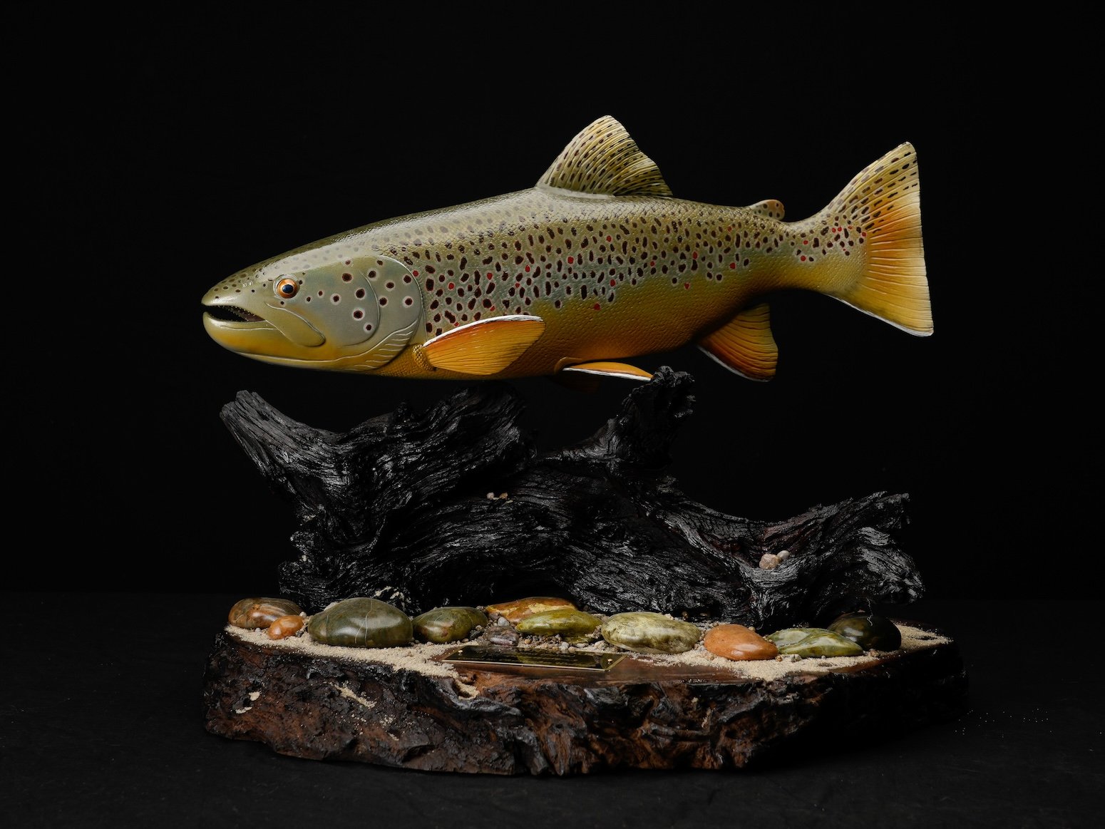 1st BOD Christopher Walluck Brook Trout-3 copy.jpg