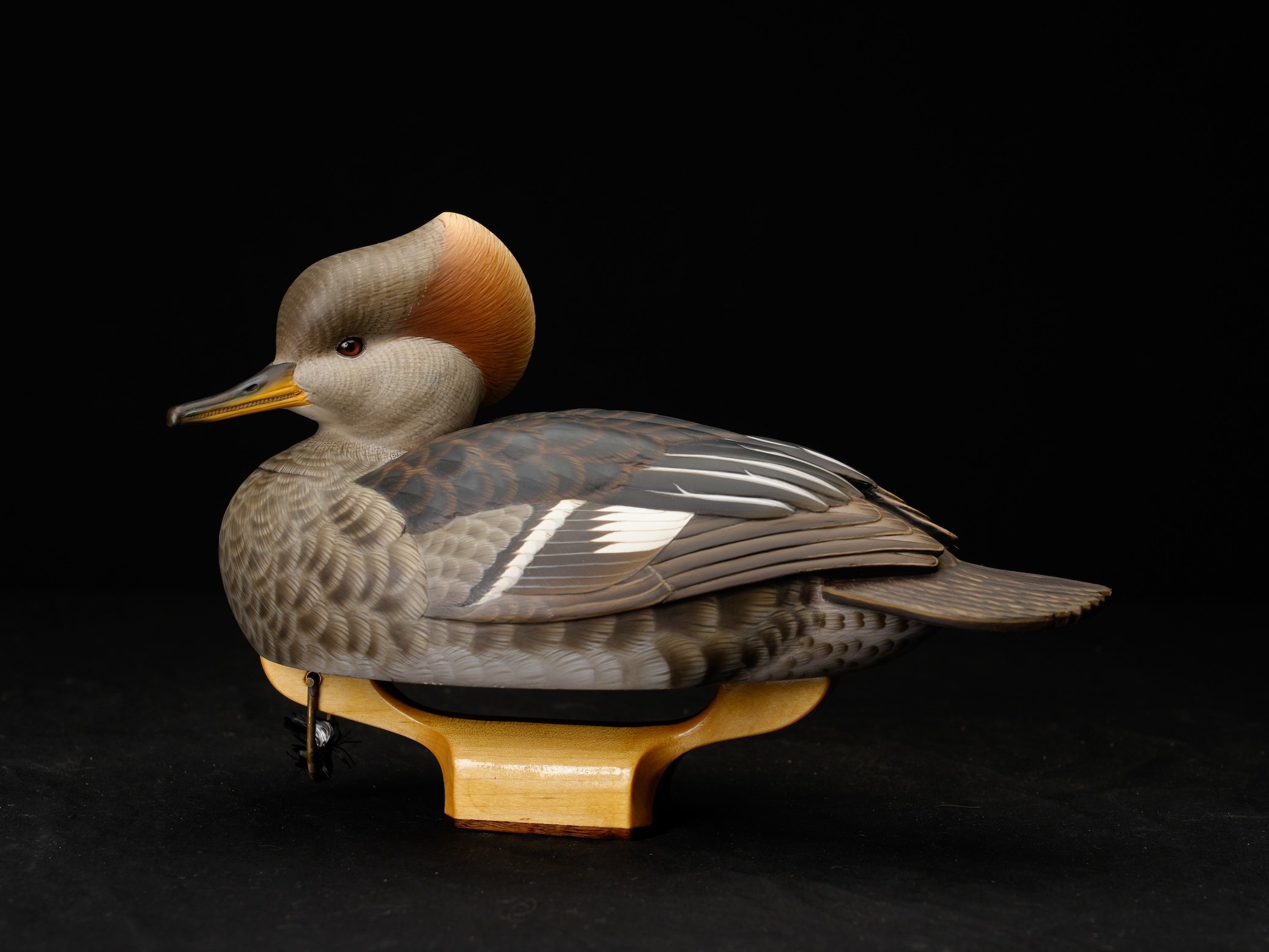  2nd BOD 2nd Place, 108-1024, Best Sea Duck Species 1st place, IWCA, Ken Stuparyk copy.jpg