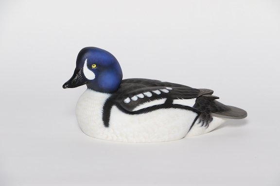 $Mid-Columbia Marine & Motor Sprots - Jerry Harris Barrows Goldeneye2 copy.JPG