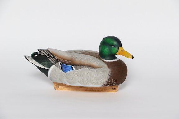 $Emerick Construction Jerry Harris Mallard Drake1 copy.JPG