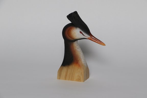 I. Waterfowl Bust - Open Best of Division Del Herbert Crested Grebe 1 copy.JPG