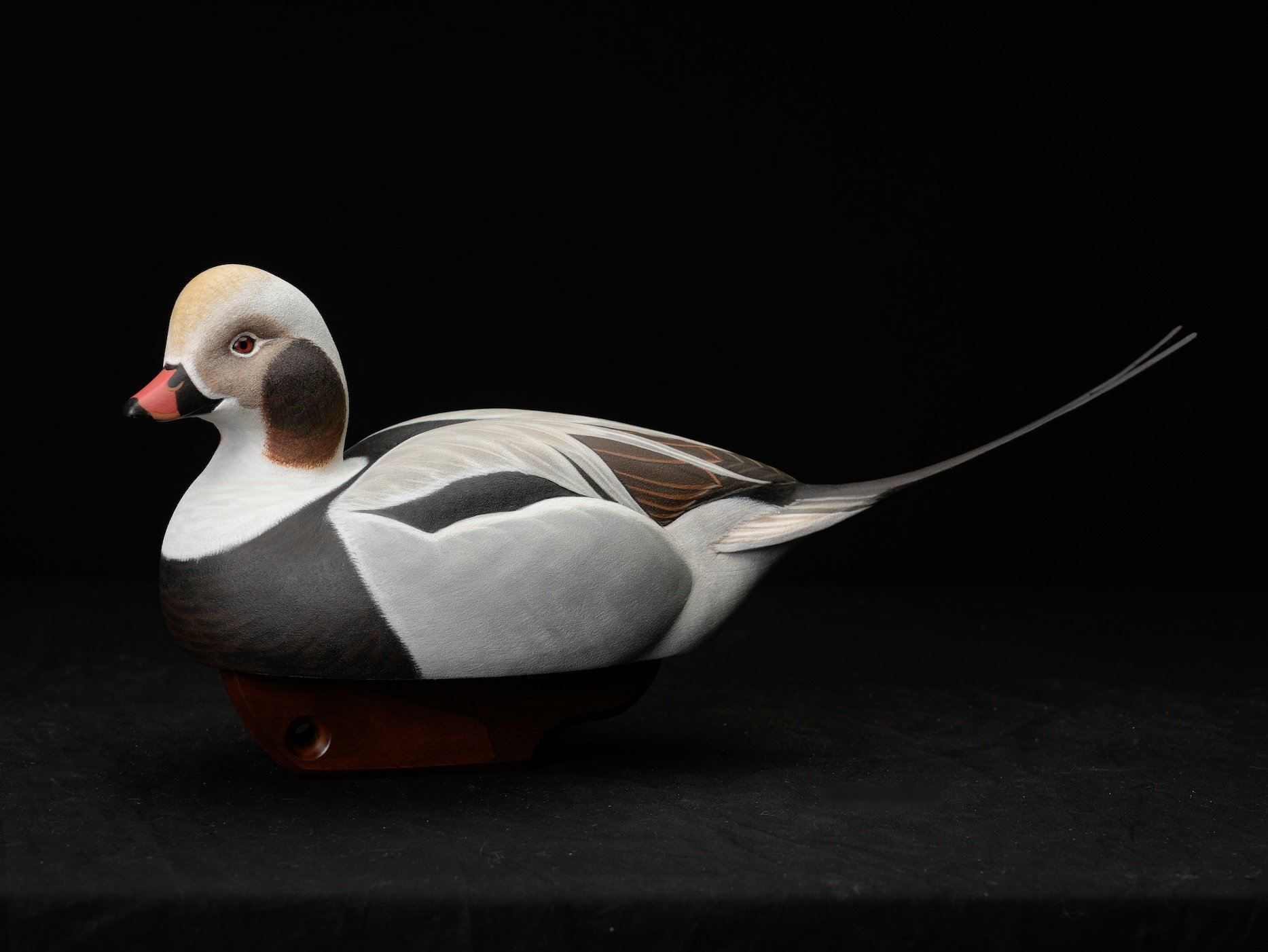  1st BOD - 1st Place, 101-1004, Jon Jones, Open Level Champion working decoy copy.jpg