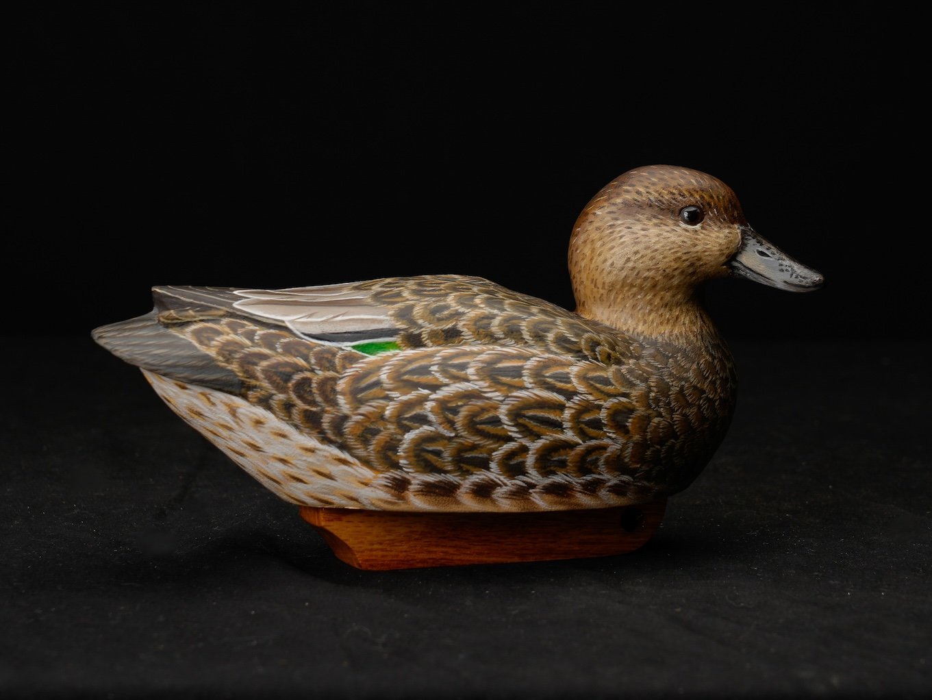  1st BOD 1st BOC, 1st Speices, 125-1259, Larry Harbaugh copy.jpg