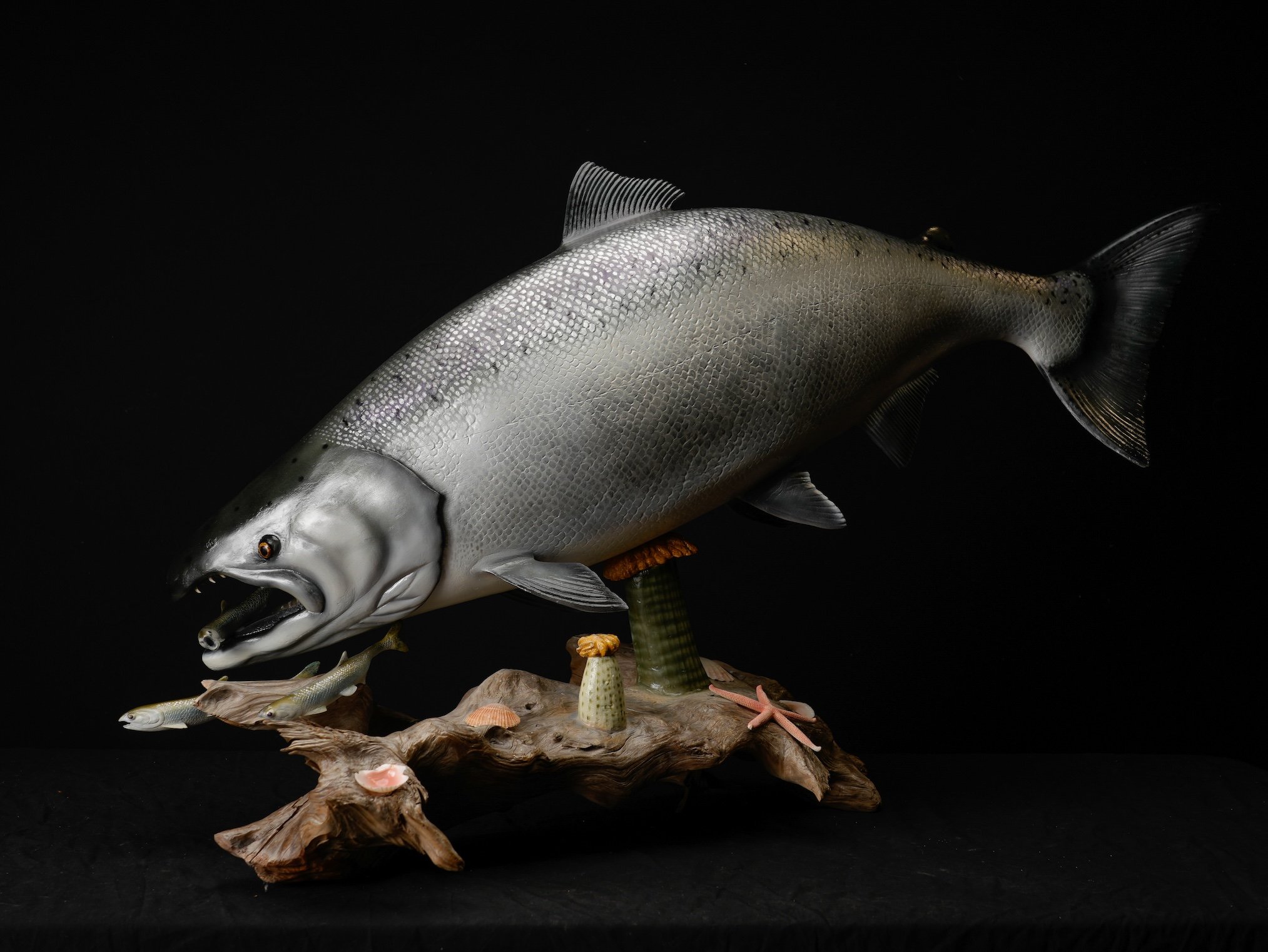 Richard Patana King Salmon copy.jpg