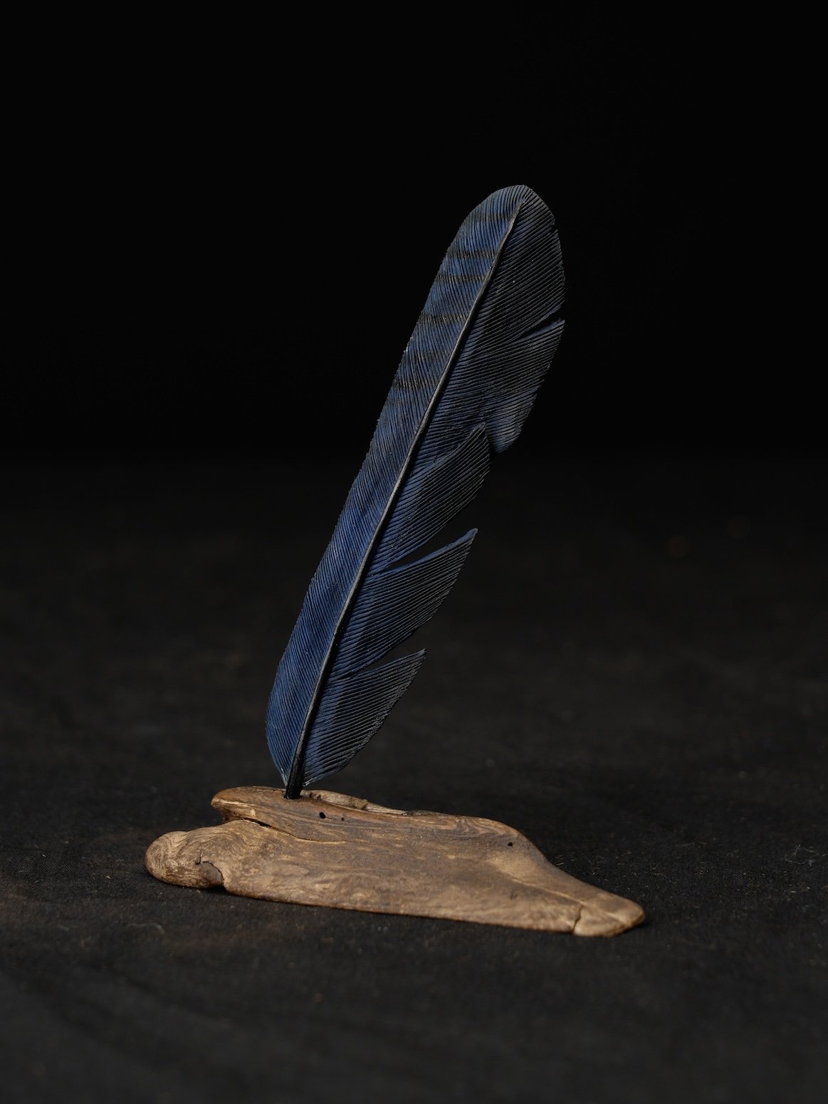  1st BOD, 118-1042, Dan Wendling copy.jpg