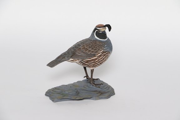 B. Decorative Lifesize Non- Floating - IWCA GB Game Birds - Open Douglas Rose California Quail2 copy.JPG