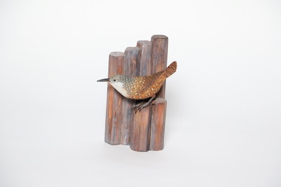 $Feather & Quill Award. Paul Murphy Canyon Wren1JPG copy.JPG