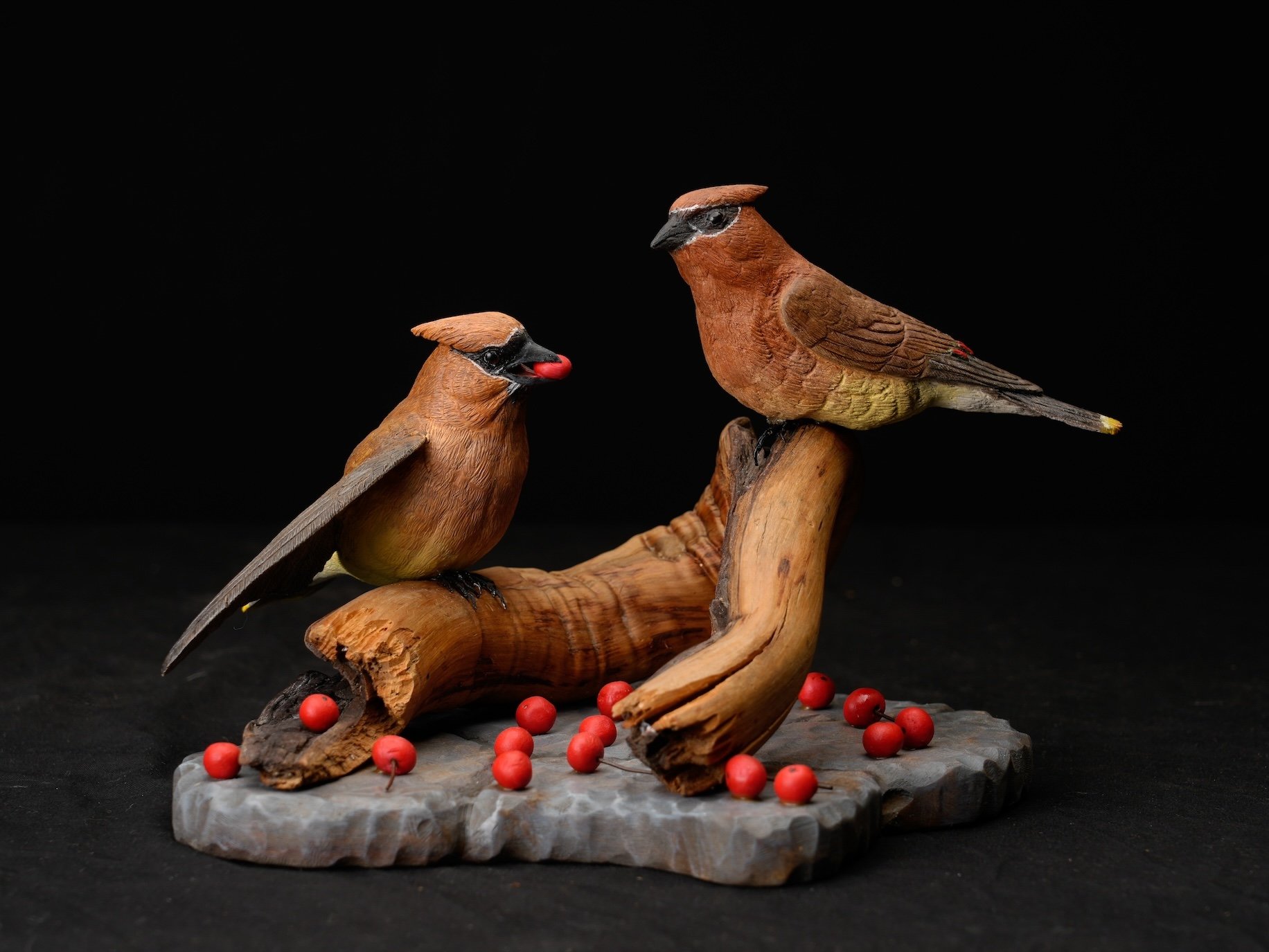  1st BOD, 1st C, 140-1111, Cheryl Ayres copy.jpg