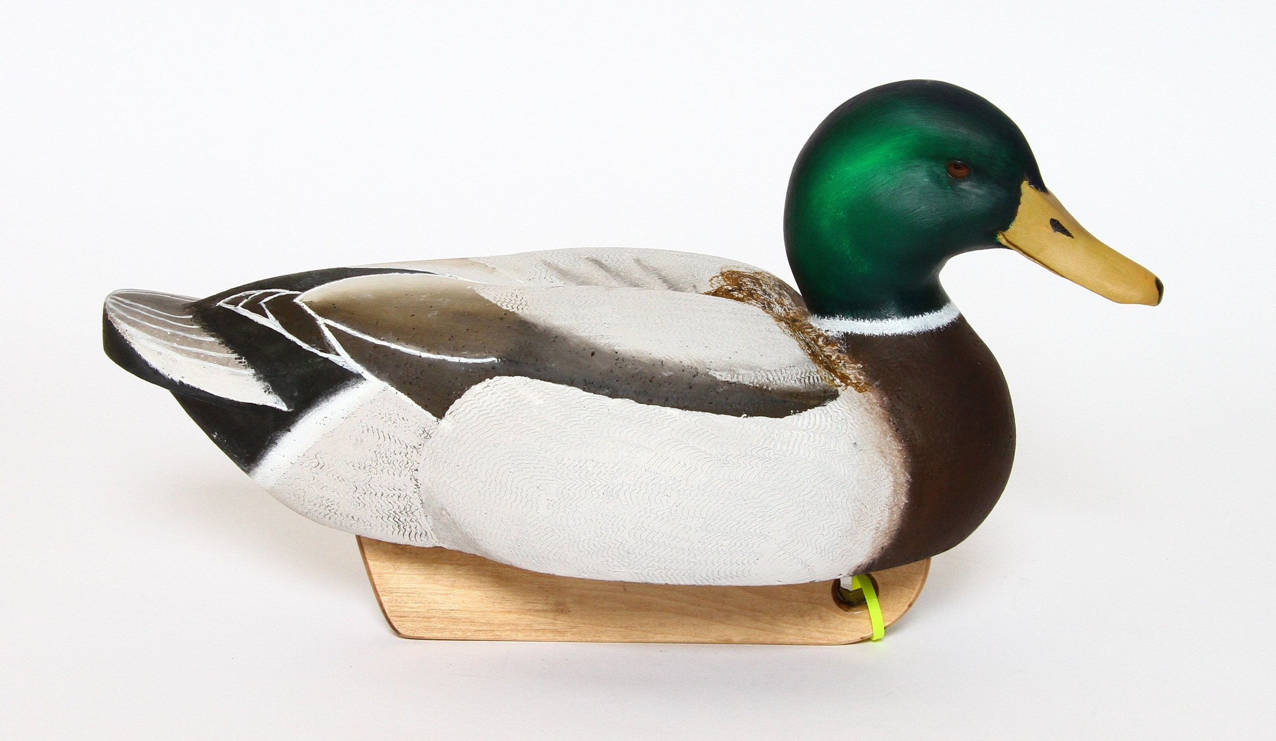 20 mallard drake .jpg