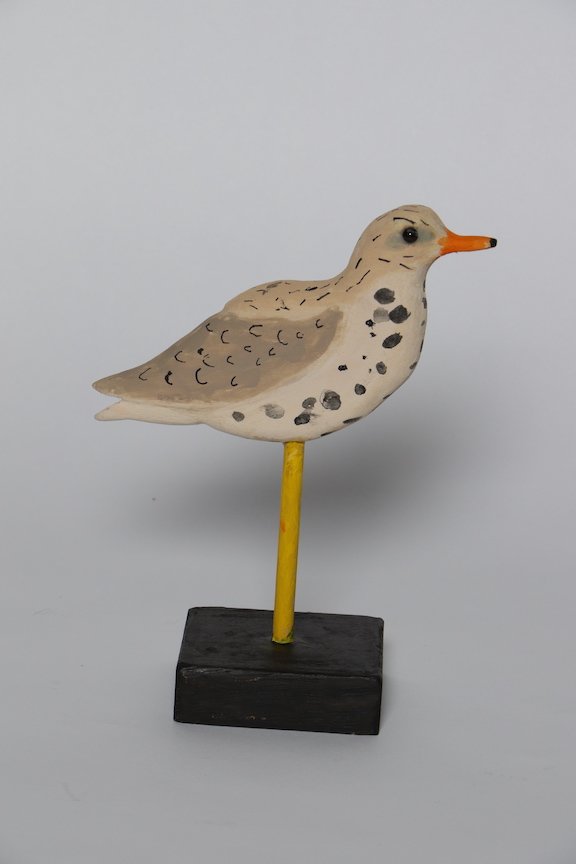 Y. Youth 14 and under Wildfowl & Fish Matilda Smith Spotted Sandpiper copy.JPG