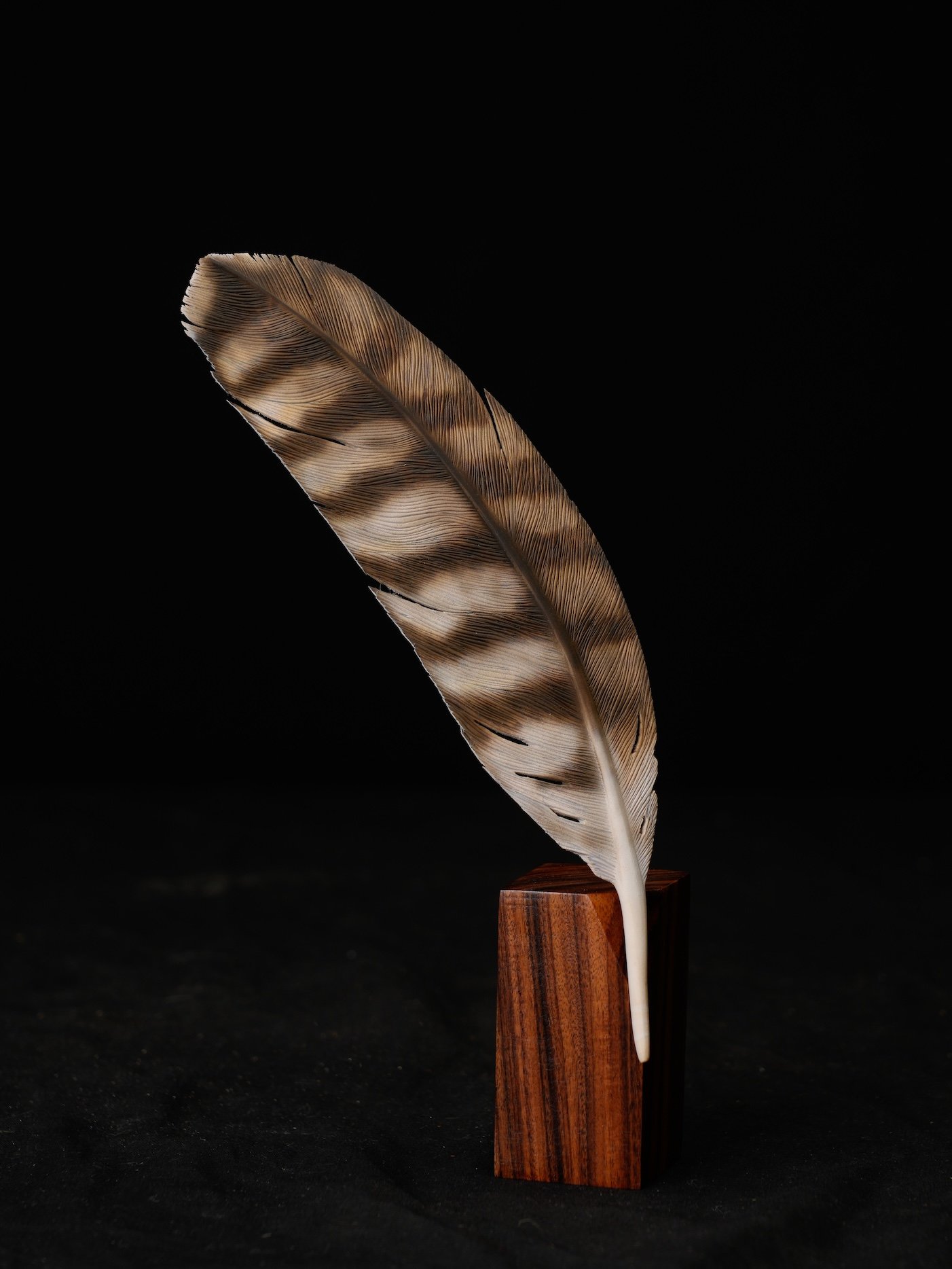  2nd BOD 2nd, 179-1293, Marcy Griffith copy.jpg