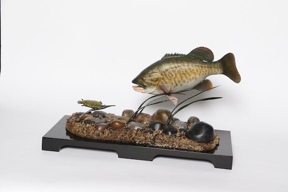 O. Fish - Intermediate Best of Division Larry Harbaugh Smallmouth Bass copy.JPG