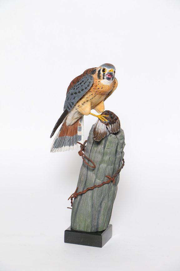 B. Decorative Lifesize Non-Floating - IWCA - Open Best of Division 3rd Lynda Goff American Kestrel2 copy.JPG