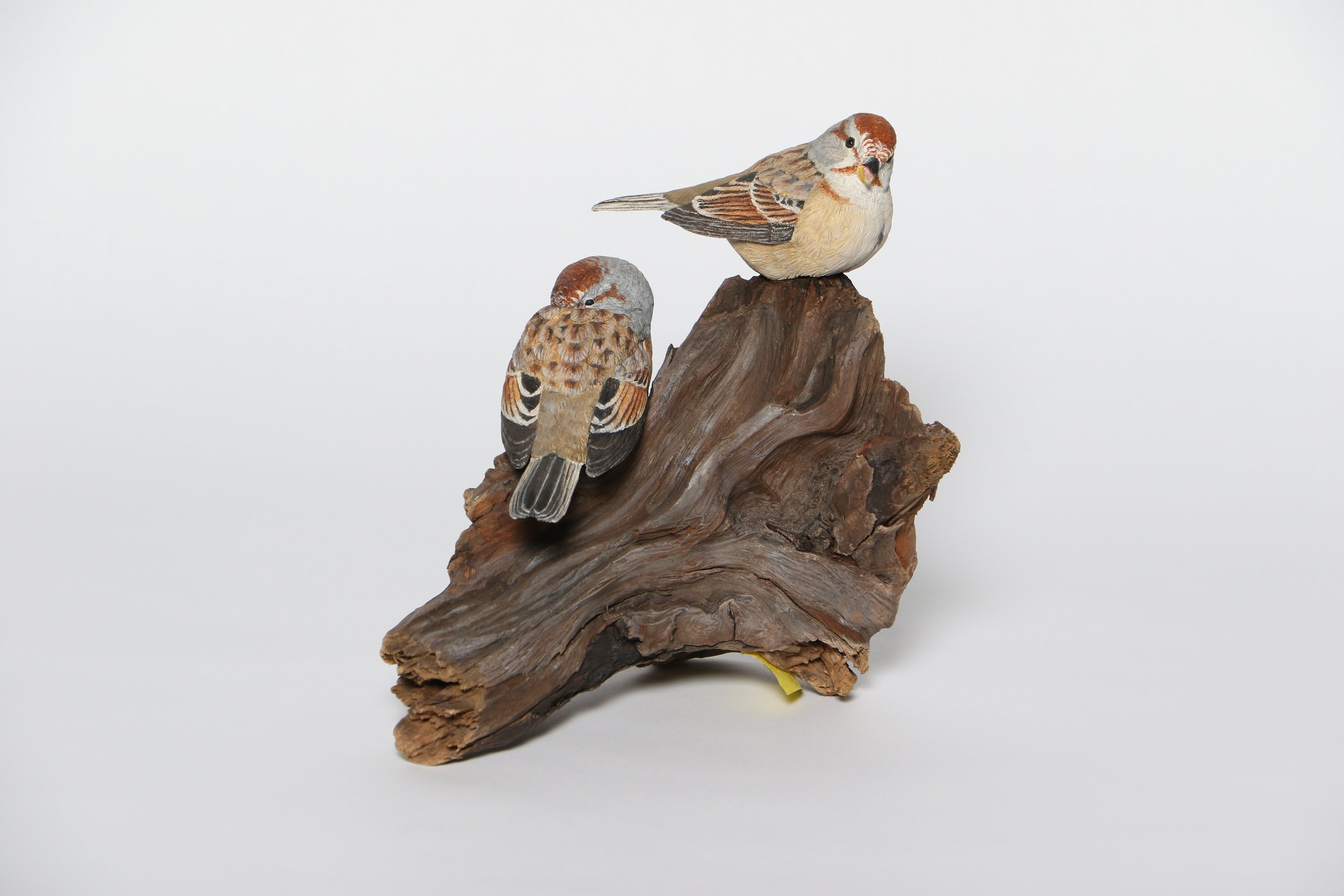  Will Hayden Memorial - Best Novice or Intermediate Decorative Carving Sherry Klein American Tree Sparrow2 copy.JPG